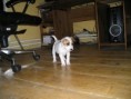 /album/fotogalerie-waka-waka-daisy/p1011723-jpg/