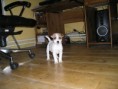 /album/fotogalerie-waka-waka-daisy/p1011724-jpg1/